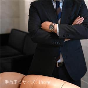 TUDOR チューダー ブラックベイ GMT S&G M79833MN-0001