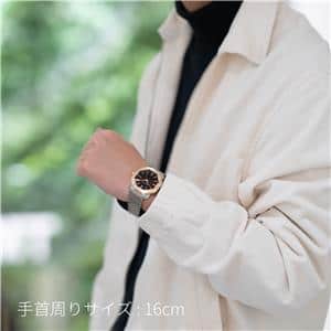 BVLGARI ブルガリ オクト ローマ OC41BSPGD