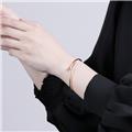 CARTIER カルティエ ジュストアンクル ブレスレット SM イエローゴールド B6062618 18号 14