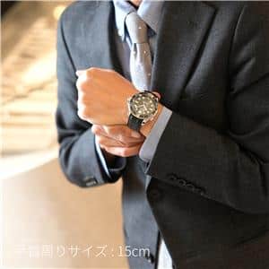 OMEGA オメガ シーマスター ダイバー 300M コーアクシャル マスター クロノメーター 210.32.42.20.01.001