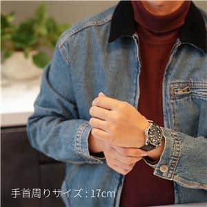 OMEGA オメガ シーマスター ダイバー 300M コーアクシャル マスター クロノメーター 210.32.42.20.01.001
