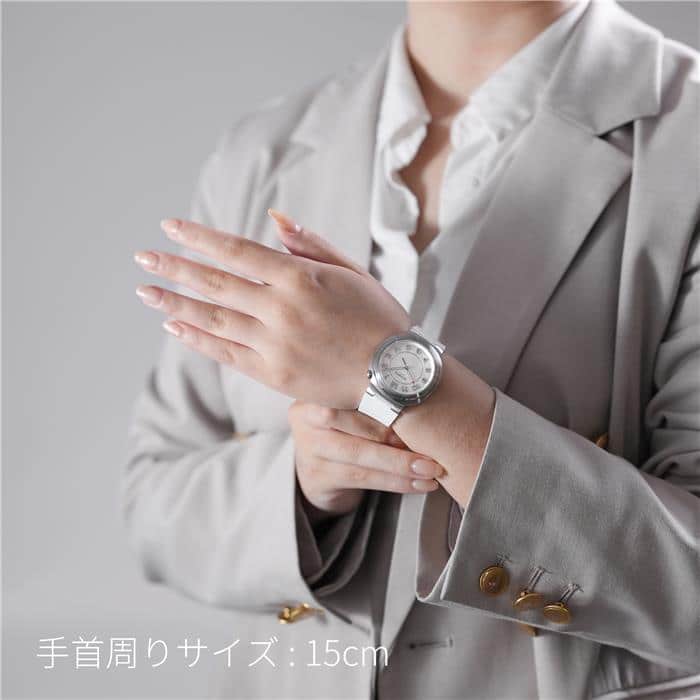 HERMES エルメス エルメスカット SD1.510.220 29