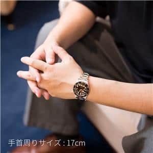 TUDOR チューダー ブラックベイ 58 M79030N-0001