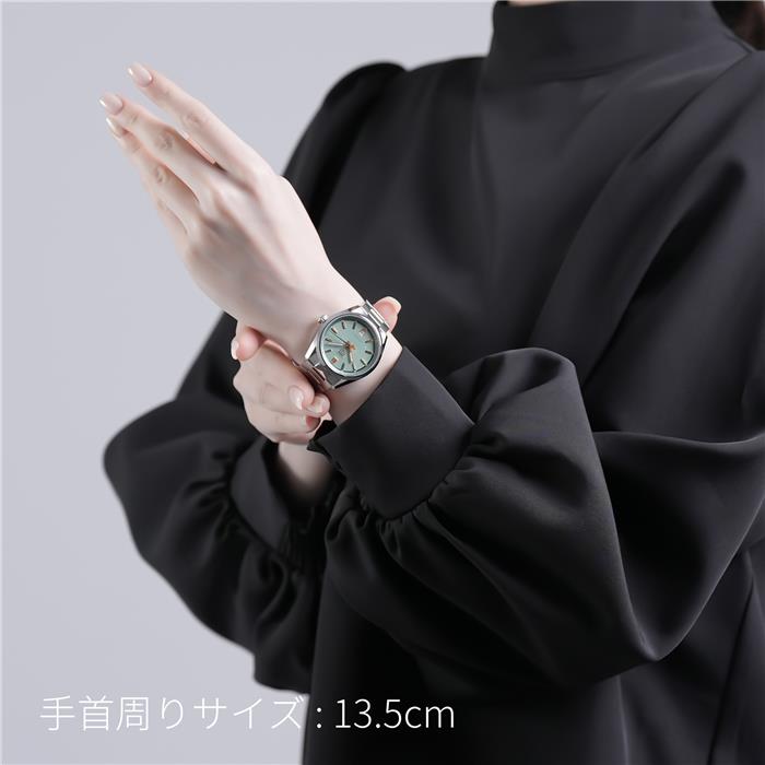 TAG HEUER タグ・ホイヤー カレラ デイト 36mm グリーン WBN2312.BA0001 28