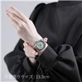 TAG HEUER タグ・ホイヤー カレラ デイト 36mm グリーン WBN2312.BA0001 29
