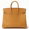 HERMES エルメス バーキン 25 オーストリッチ ゴールド ゴールド金具 1