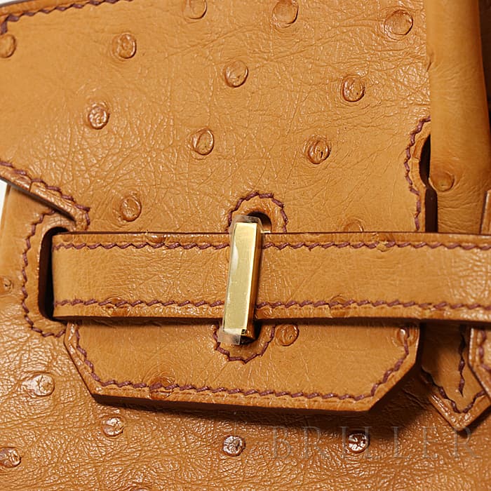 HERMES エルメス バーキン 25 オーストリッチ ゴールド ゴールド金具 21