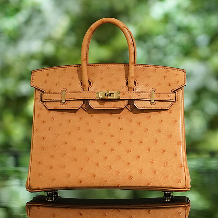 HERMES エルメス バーキン 25 オーストリッチ ゴールド ゴールド金具 2