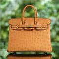 HERMES エルメス バーキン 25 オーストリッチ ゴールド ゴールド金具 2