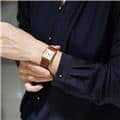 CARTIER カルティエ タンク マストタンク ヴェルメイユ 29