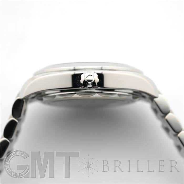 OMEGA オメガ シーマスター アクアテラ 150M 220.10.30.20.01.001 18