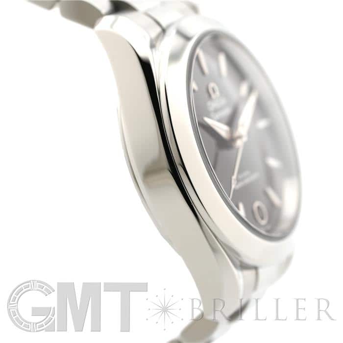 OMEGA オメガ シーマスター アクアテラ 150M 220.10.30.20.01.001 20