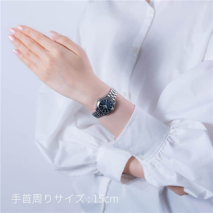 OMEGA オメガ シーマスター アクアテラ 150M 220.10.30.20.01.001 28