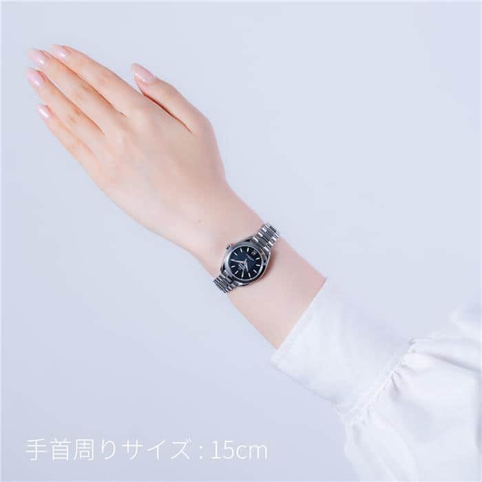 OMEGA オメガ シーマスター アクアテラ 150M 220.10.30.20.01.001 29