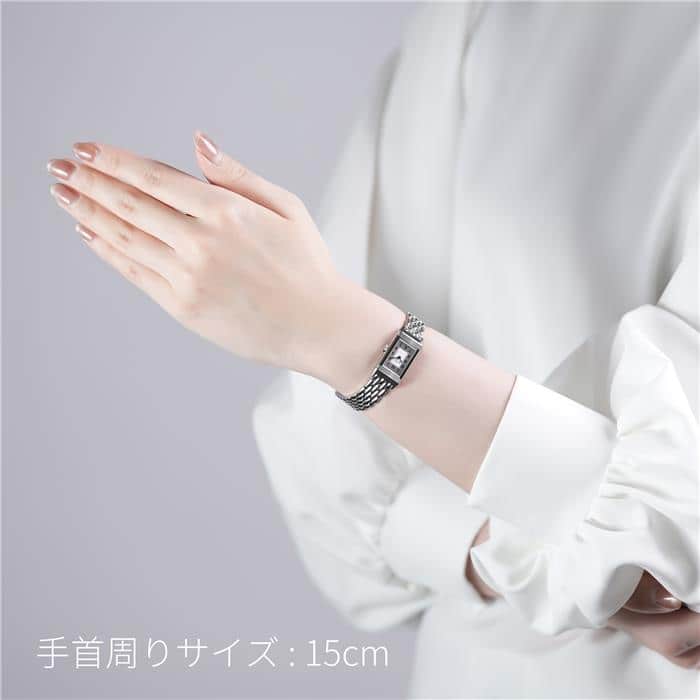 JAEGER LECOULTRE ジャガー・ルクルト レベルソ クラシック オリジン Q3878120 29