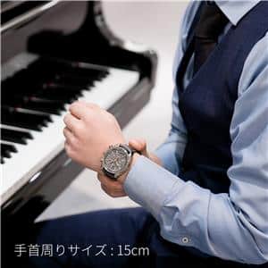 OMEGA オメガ スピードマスター グレーサイド オブ ザ ムーン ”メテオライト” 311.63.44.51.99.001