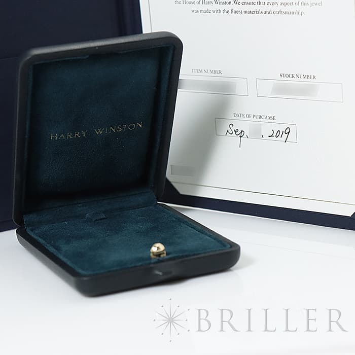 HARRY WINSTON ハリー・ウィンストン ループ・フルモチーフ・ペンダント ネックレス プラチナ ダイヤモンド PEDPRPMEL4C 7