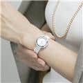 Van Cleef & Arpels ヴァン クリーフ&アーペル チャームウォッチ VCARO29A00 28