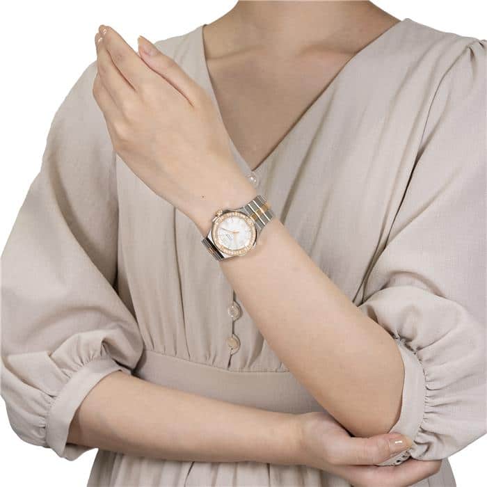 CHOPARD ショパール アルパイン イーグル スモール 298601-6002 29