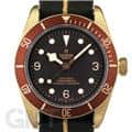 TUDOR チューダー ヘリテージブラックベイ 79250BM ブラウン ファブリックベルト