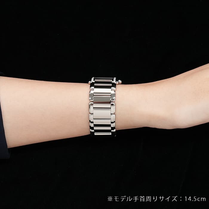 PATEK PHILIPPEパテック・フィリップ トゥエンティー4 4910/10A-010 グレー 26