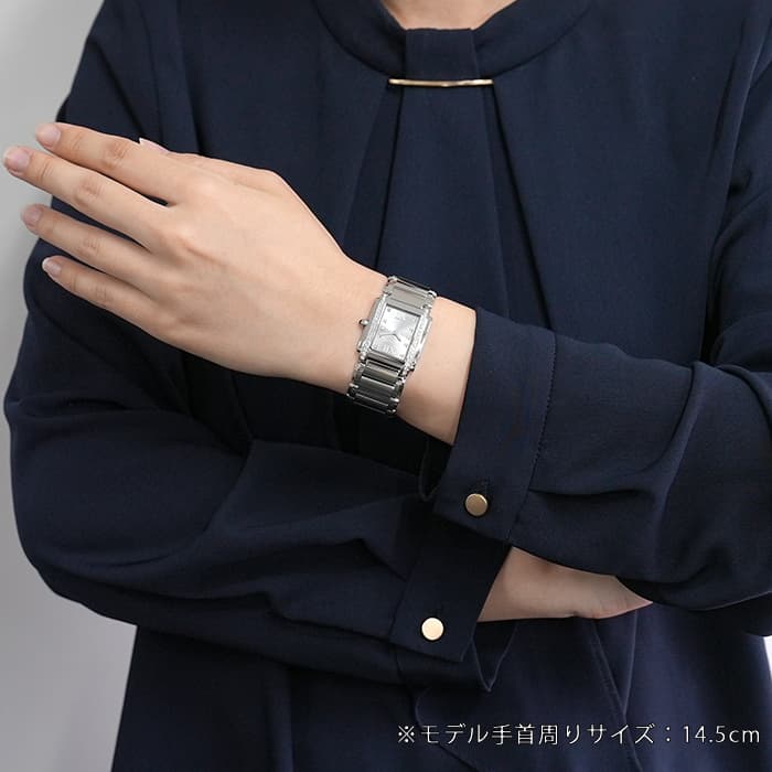 PATEK PHILIPPEパテック・フィリップ トゥエンティー4 4910/10A-010 グレー 29