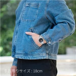 OMEGA オメガ シーマスター アクアテラ コーアクシャル マスタークロノメーター 220.10.41.21.01.002