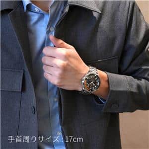 OMEGA オメガ シーマスター プラネットオーシャン 600M コーアクシャル マスター クロノメーター 215.30.44.21.01.002