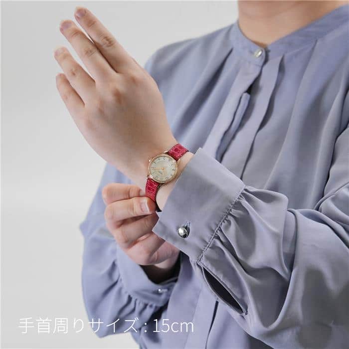 HERMES エルメス スリム ドゥ エルメス CA2.171 041753WW00 29