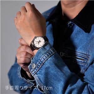 LONGINES ロンジン フラッグシップ フラッグシップ ヘリテージ ムーンフェイズ L4.815.4.78.2