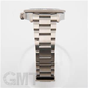 TUDOR チューダー ぺラゴス 39 M25407N-0001
