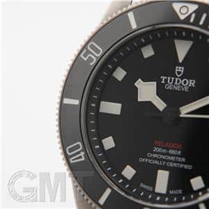 TUDOR チューダー ぺラゴス 39 M25407N-0001
