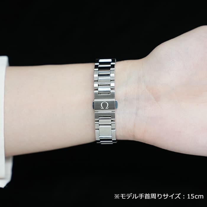 OMEGA オメガ シーマスター アクアテラ 150M 231.15.34.20.57.001※ 26