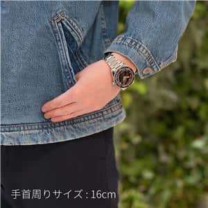 OMEGA オメガ シーマスター 234.30.41.21.01.001