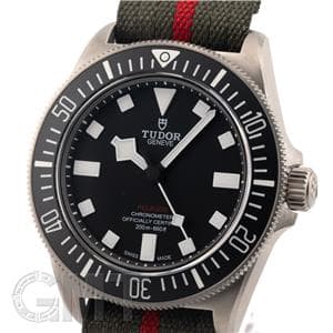 TUDOR チューダー ぺラゴス FXD M25717N-0001