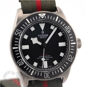 TUDOR チューダー ぺラゴス FXD M25717N-0001