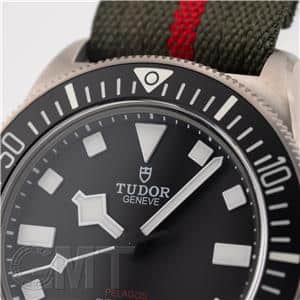 TUDOR チューダー ぺラゴス FXD M25717N-0001