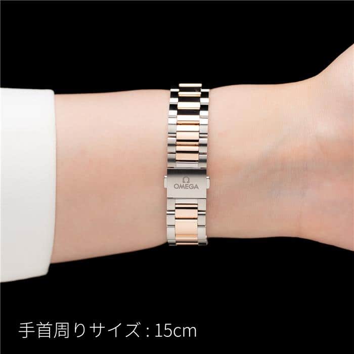 OMEGA オメガ シーマスター アクアテラ 220.20.34.20.59.001 26