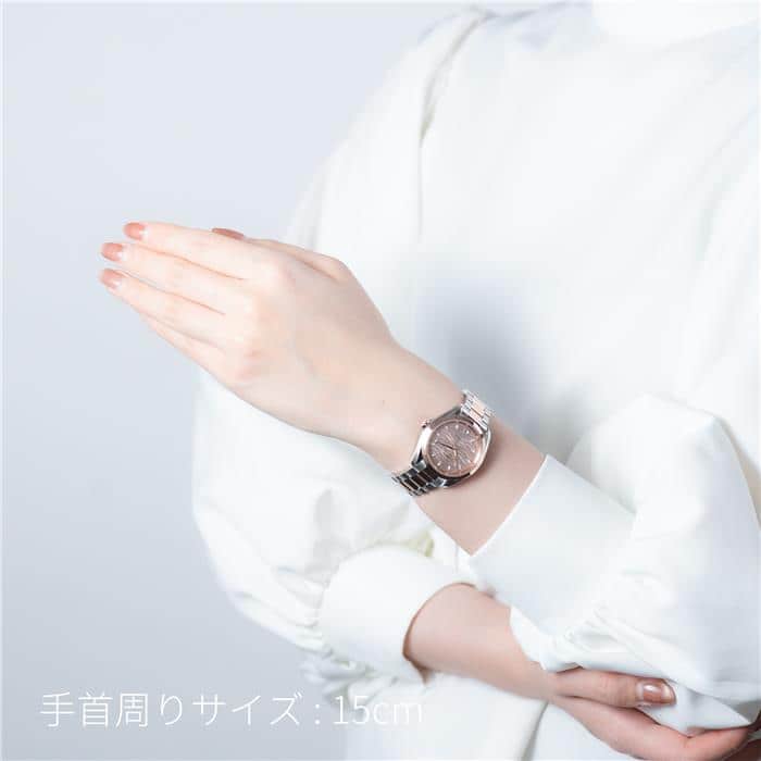 OMEGA オメガ シーマスター アクアテラ 220.20.34.20.59.001 28