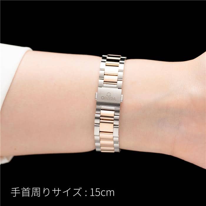 OMEGA オメガ シーマスター アクアテラ 220.20.34.20.60.001 26