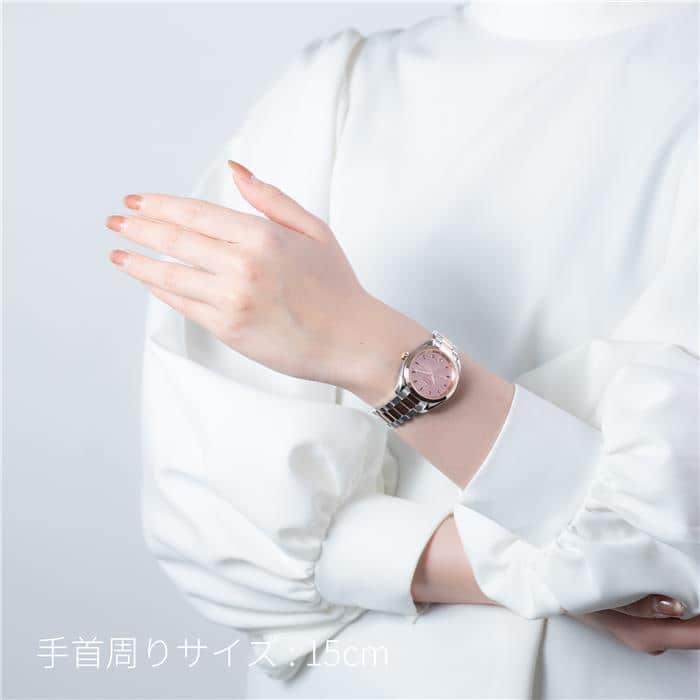 OMEGA オメガ シーマスター アクアテラ 220.20.34.20.60.001 28