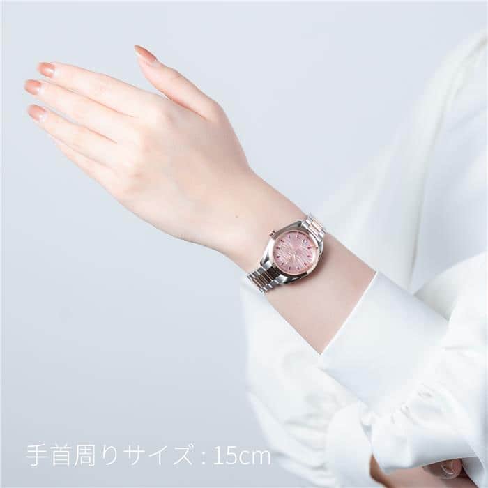 OMEGA オメガ シーマスター アクアテラ 220.20.34.20.60.001 29