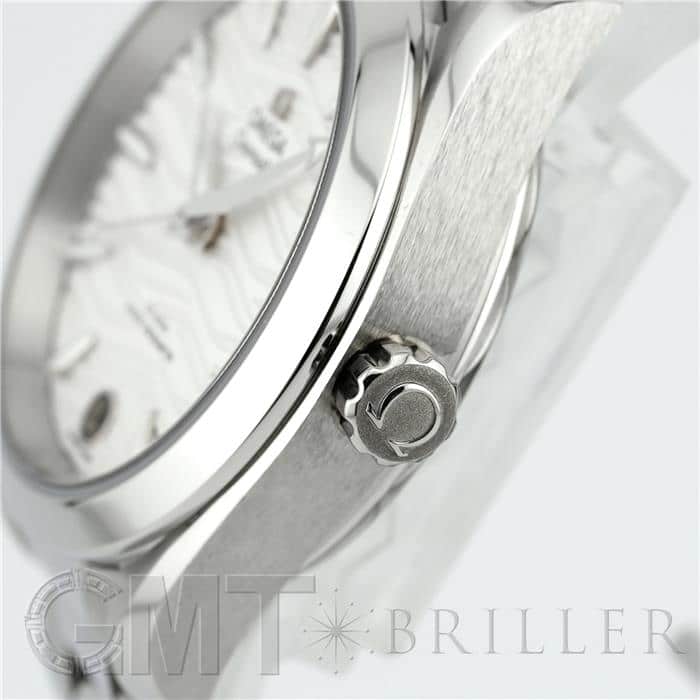 OMEGA オメガ シーマスター アクアテラ マスタークロノメーター 220.10.34.20.02.002 10