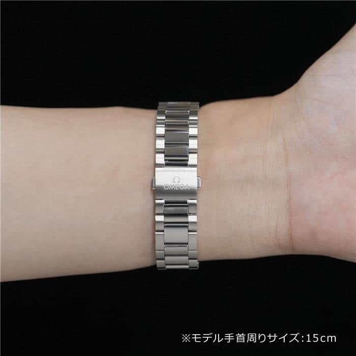 OMEGA オメガ シーマスター アクアテラ マスタークロノメーター 220.10.34.20.02.002 27